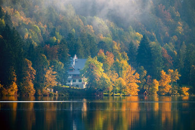 Trees by lake during autumn