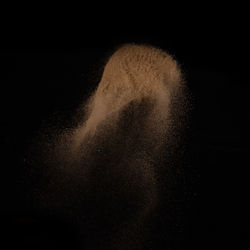 Close-up of jellyfish in water against black background