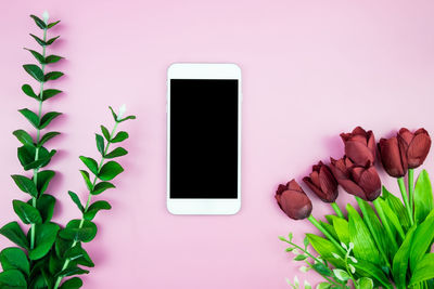 Directly above mobile phone by flowering plant on table