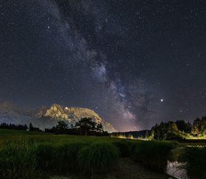 Plants growing against sky at night