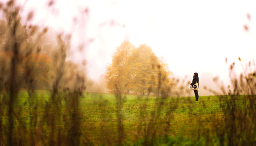 Trees on grassy field