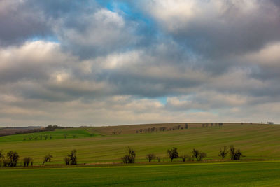 Scenic view of agricultural field against sky