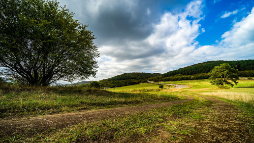 Scenic view of field against sky
