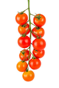 Close-up of tomatoes against white background