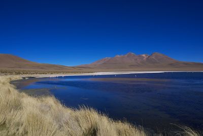 Scenic view of sea against clear blue sky