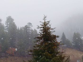 Scenic view of sea during foggy weather