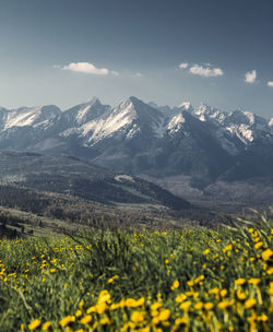 Scenic view of snowcapped mountains against sky