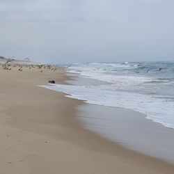 Scenic view of beach against sky