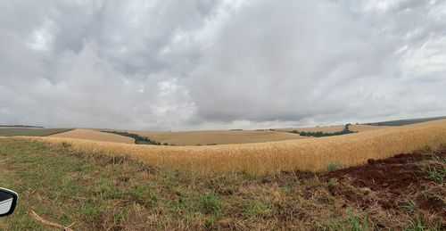 Scenic view of field against sky