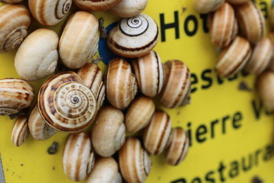 High angle view of shells for sale at market stall