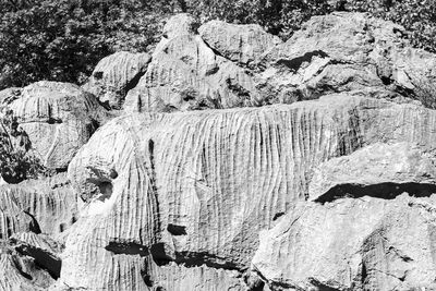 View of rocks and trees on rock