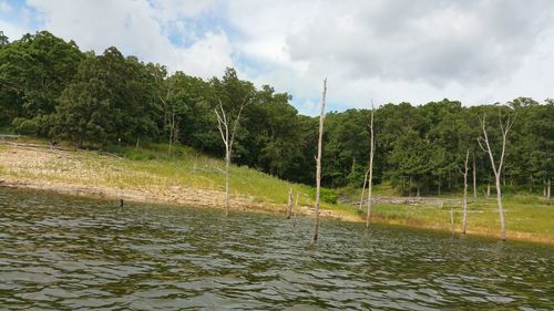 River with trees in background