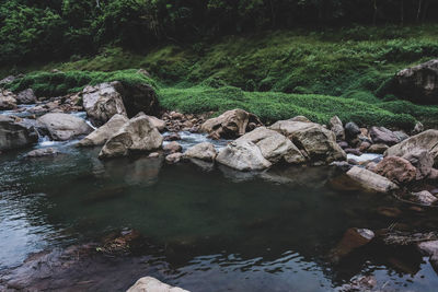 Stream flowing through rocks in forest