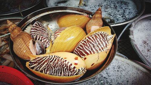 High angle view of hemifusus in basket