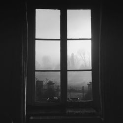 Trees seen through window of house