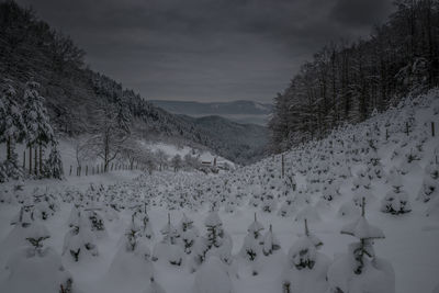 Snow covered landscape against sky