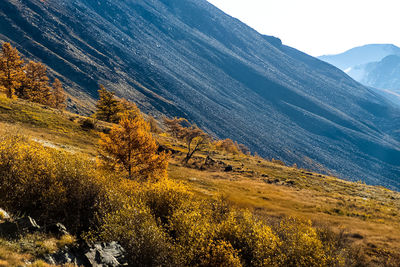 Scenic view of landscape and mountains against sky