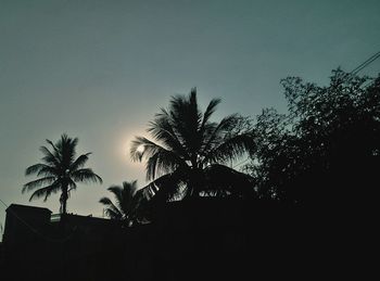 Low angle view of silhouette palm trees against clear sky