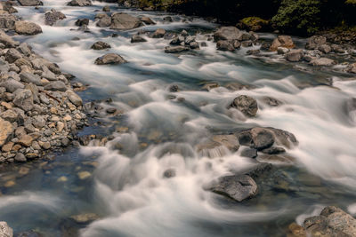 Scenic view of river flowing in forest