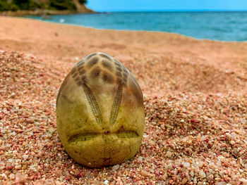 Close-up of a ball on beach