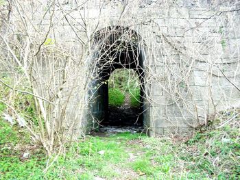 Entrance of abandoned building