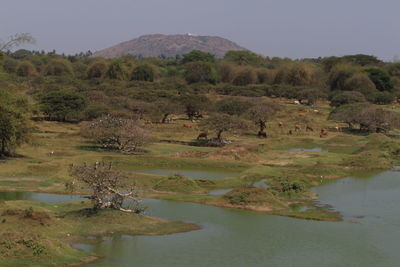 Scenic view of lake against sky