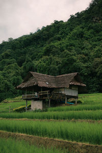 Houses on field against sky