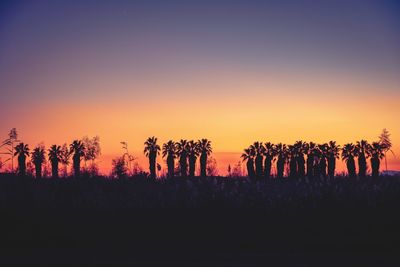 Silhouette trees against sky during sunset
