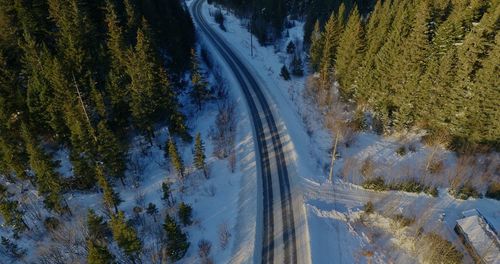 High angle view of trees on snow covered land