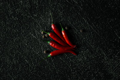 High angle view of red chili peppers on black background