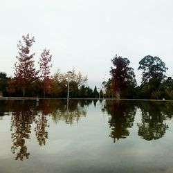 Reflection of trees in lake against clear sky