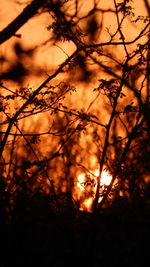 Sun shining through clouds at sunset