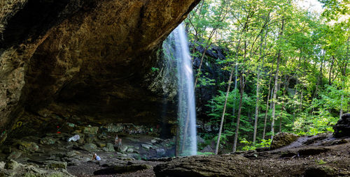 Scenic view of waterfall in forest
