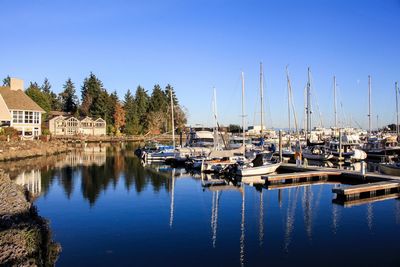 Sailboats moored at harbor against clear sky