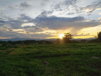 Scenic view of field against sky during sunset