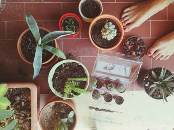 Directly above short of woman standing by plants on floor