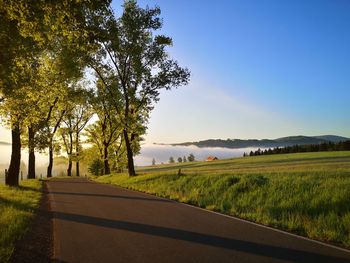 Scenic view of field against clear sky