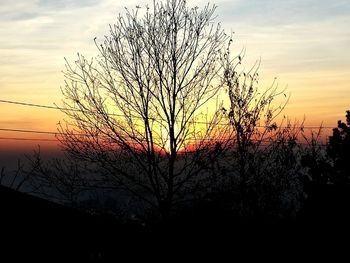 Silhouette of tree against sky during sunset