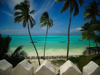 Palm trees by swimming pool against sky