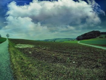 Scenic view of field against sky