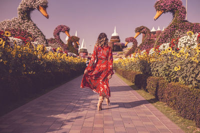 Rear view of young woman walking in ornamental garden at dusk