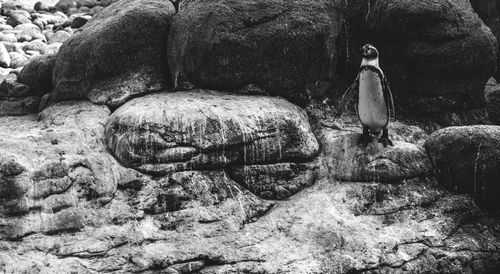 Statue on rock