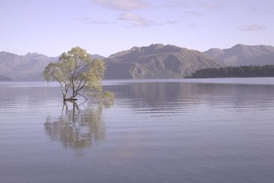 Scenic view of lake by mountains against sky