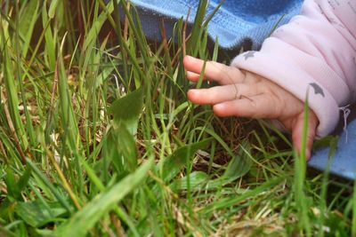 Cropped image of baby touching grass on field