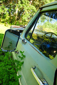 Reflection of car on side-view mirror