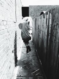 Full length of woman standing by railing