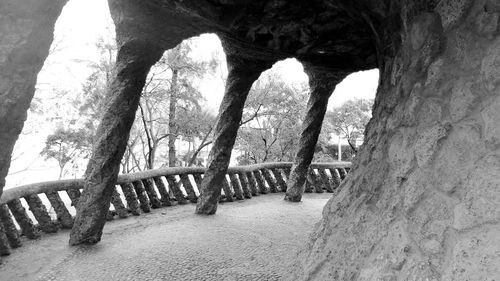 Trees on archway