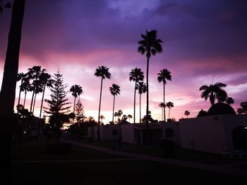 Silhouette palm trees against sky at sunset