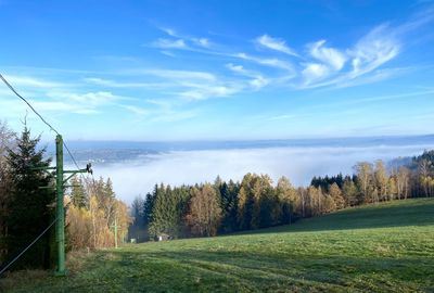 Trees on field and against sky over fog