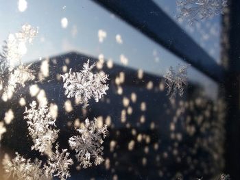 Close-up of water drops on glass window